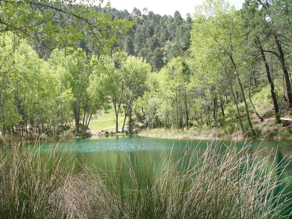 La Encina B Villa Villaverde De Guadalimar Buitenkant foto